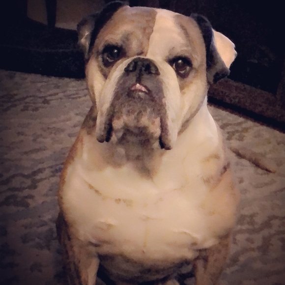 Meet your Posher, Christina - Picture 2 of 5